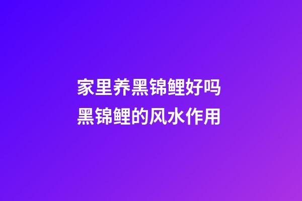 家里养黑锦鲤好吗 黑锦鲤的风水作用